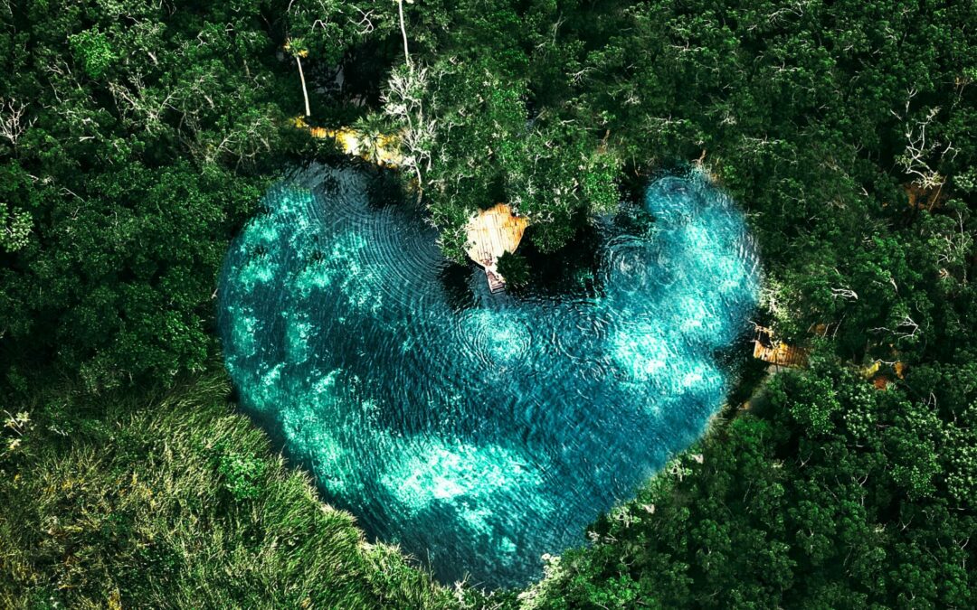 Discover Paradise: 14 Breathtaking Cenotes in Tulum, Mexico